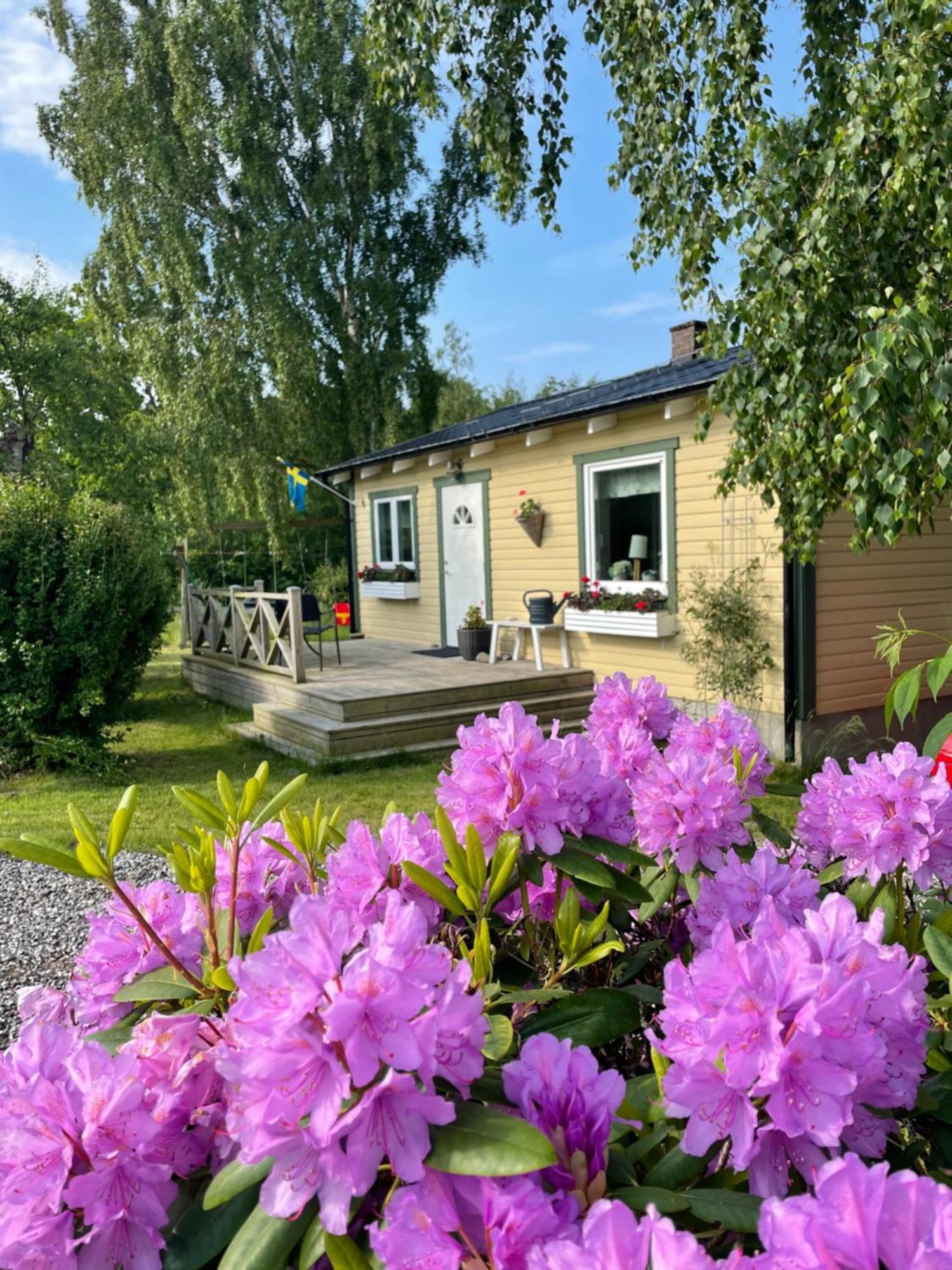 Nice Child-Friendly House 200M From Beautiful Beach,Near Kullaberg Farhult Exteriér fotografie